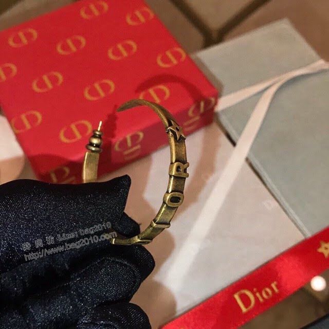 Dior飾品 迪奧經典熱銷款大圈新款耳環耳吊  zgd1321